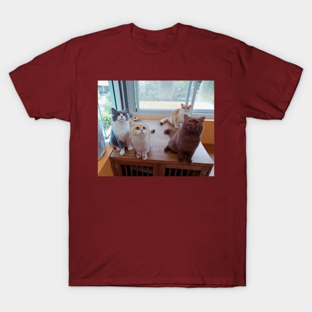 the cute cats team T-Shirt by kunasin